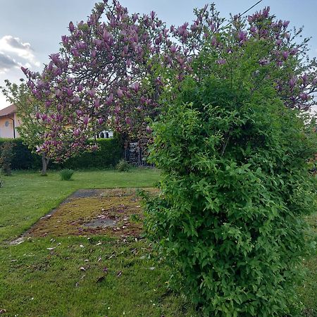 A House, Free Parking, Sauna 코프리브니차 외부 사진